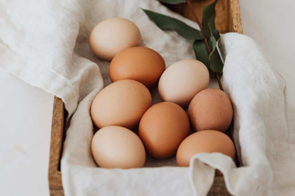 Egg Inc. Cheats Build the biggest egg farm empire!