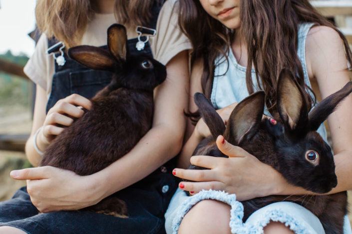 Two women holding one bunny each