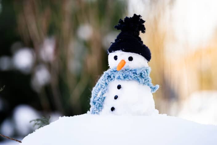cute little snowman